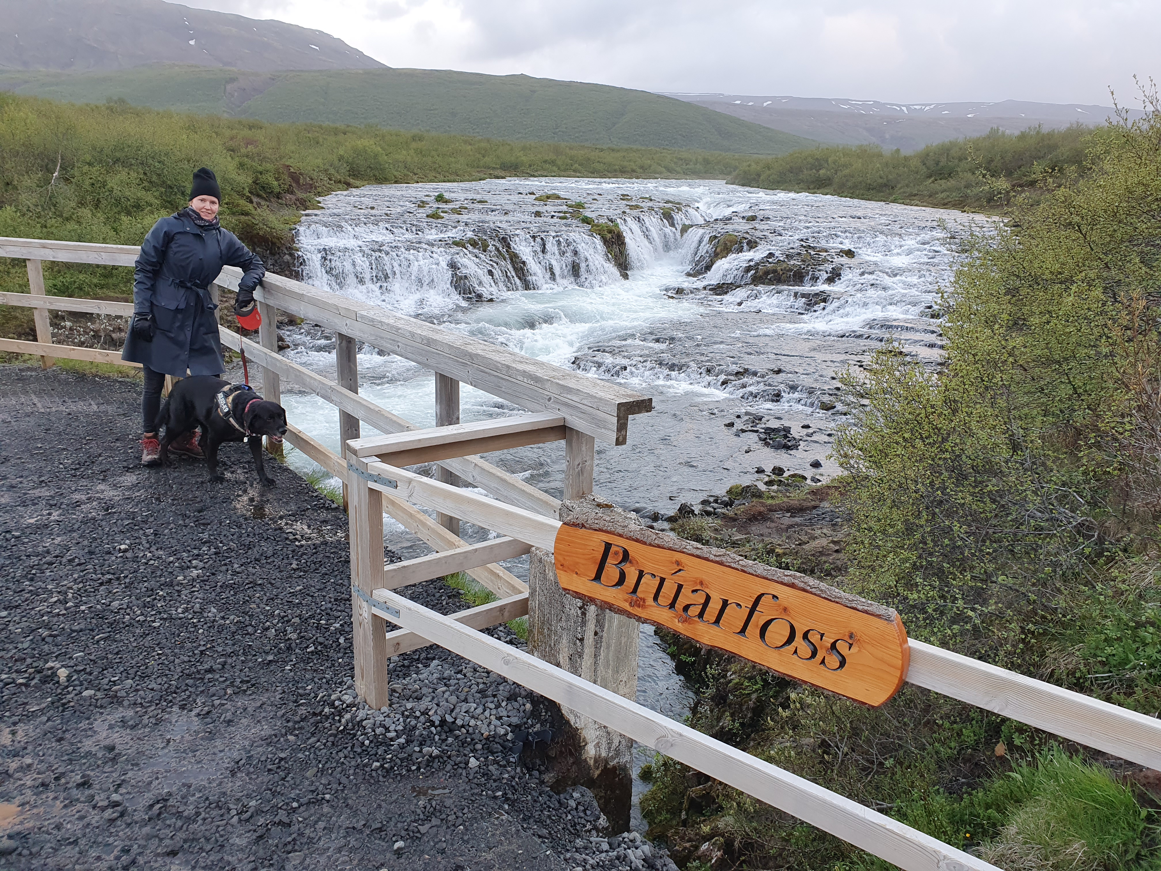 Visitor with dog at the Brúarfoss viewpoint with wooden sign and railing