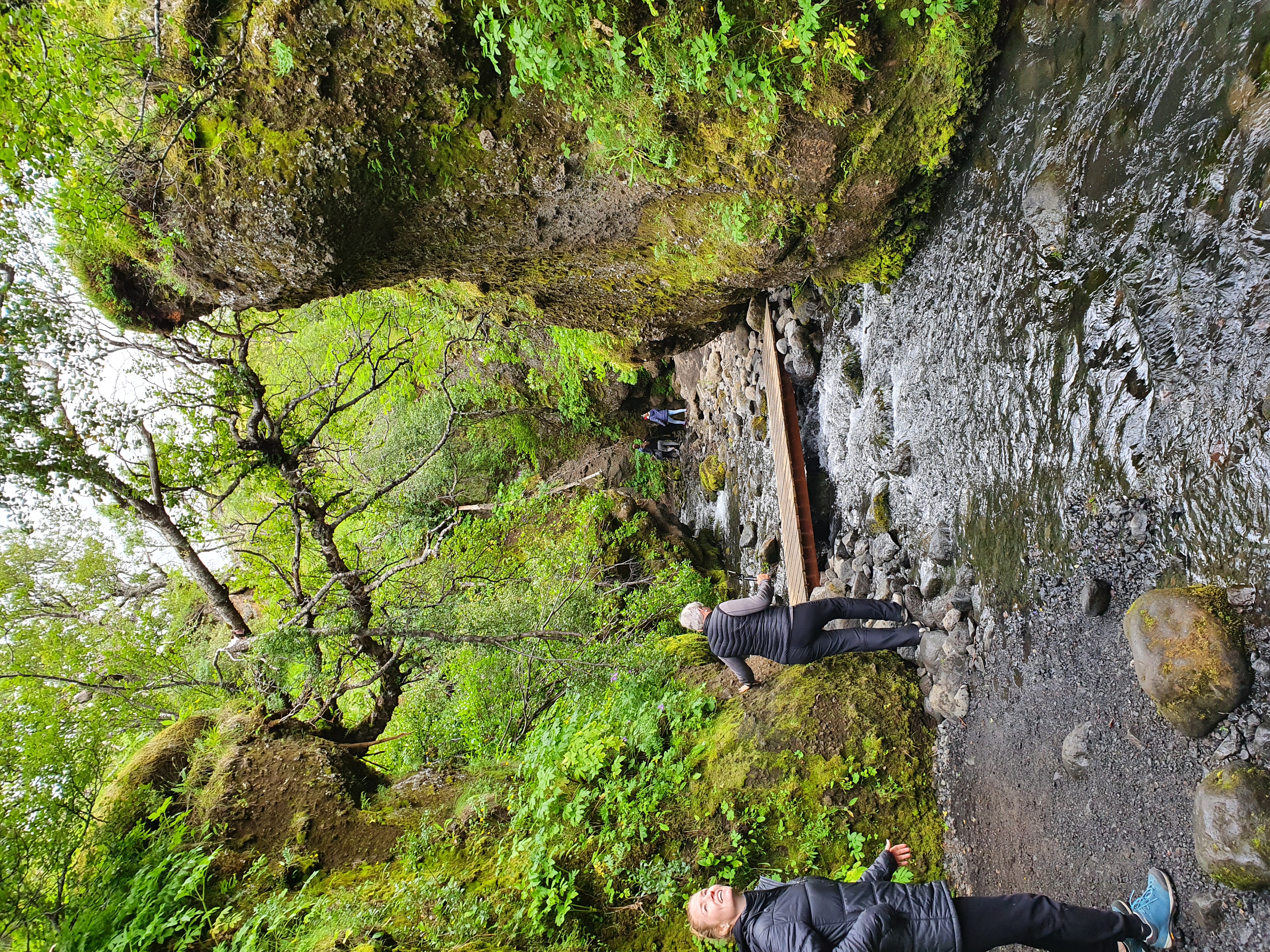 Entering Nauthúsagil ravine with lush green moss and rowan trees overhead