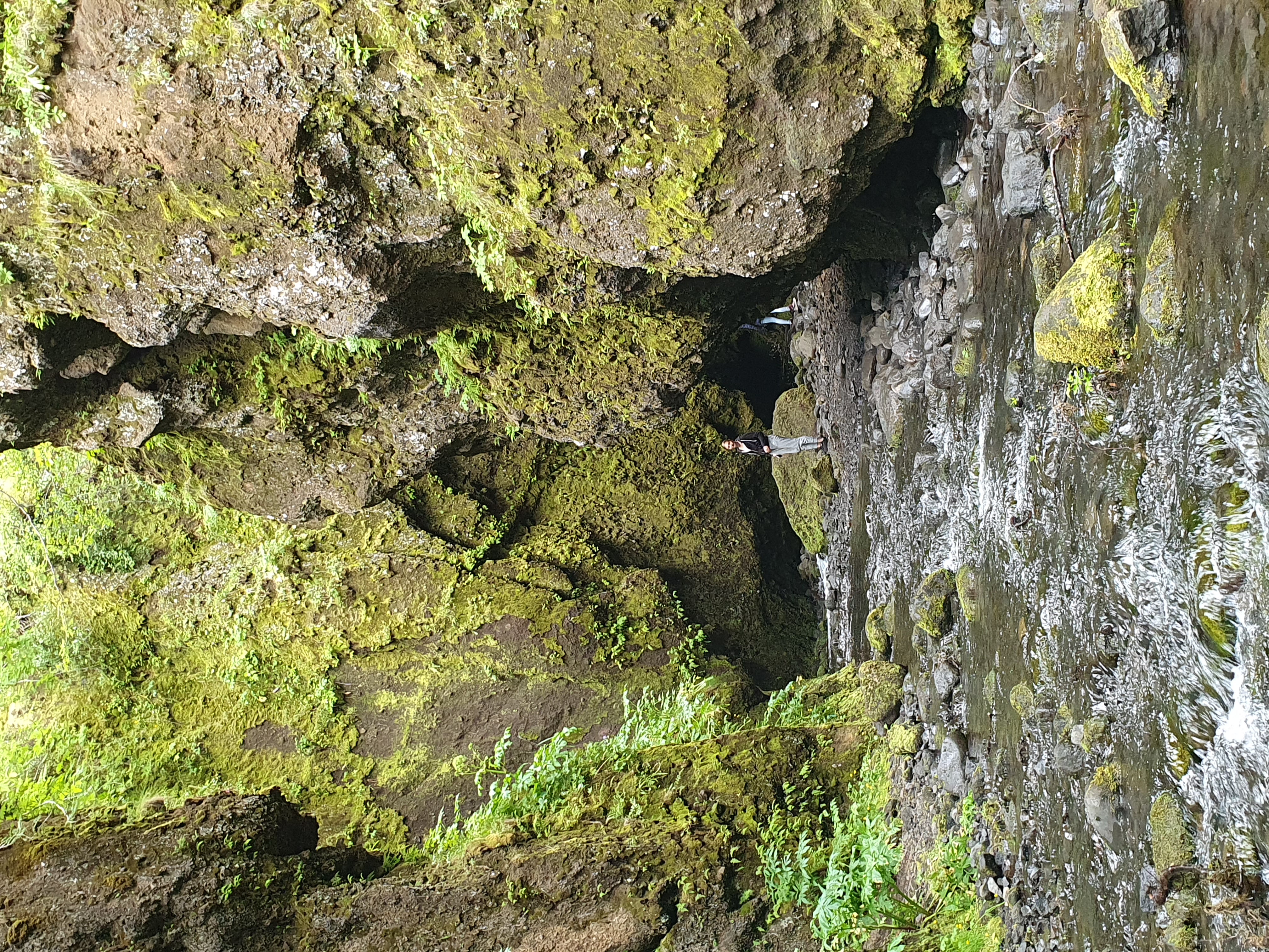 Moss-covered rock walls narrowing inside Nauthúsagil canyon