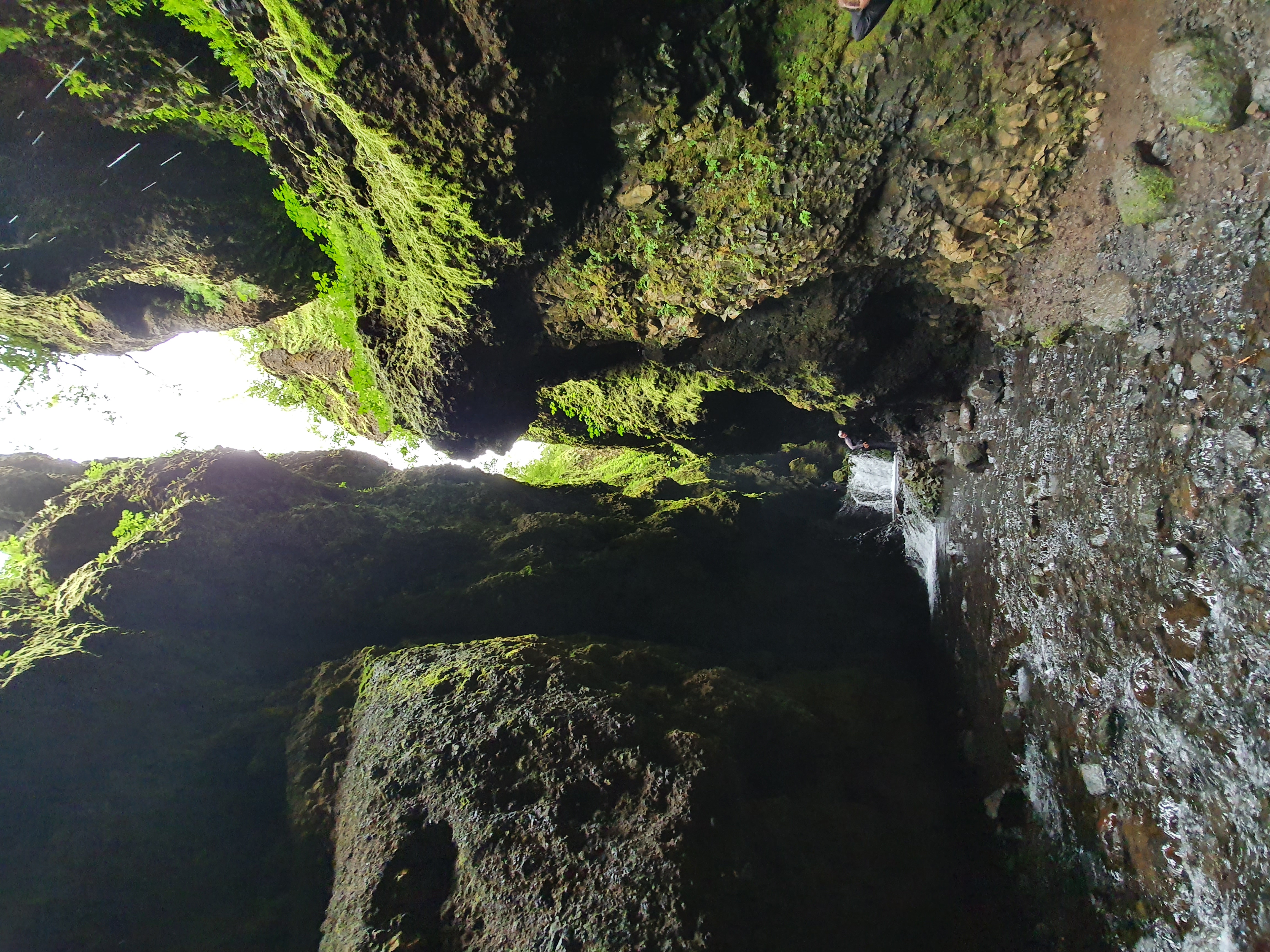 Looking up from deep inside Nauthúsagil at moss-covered walls and light filtering through
