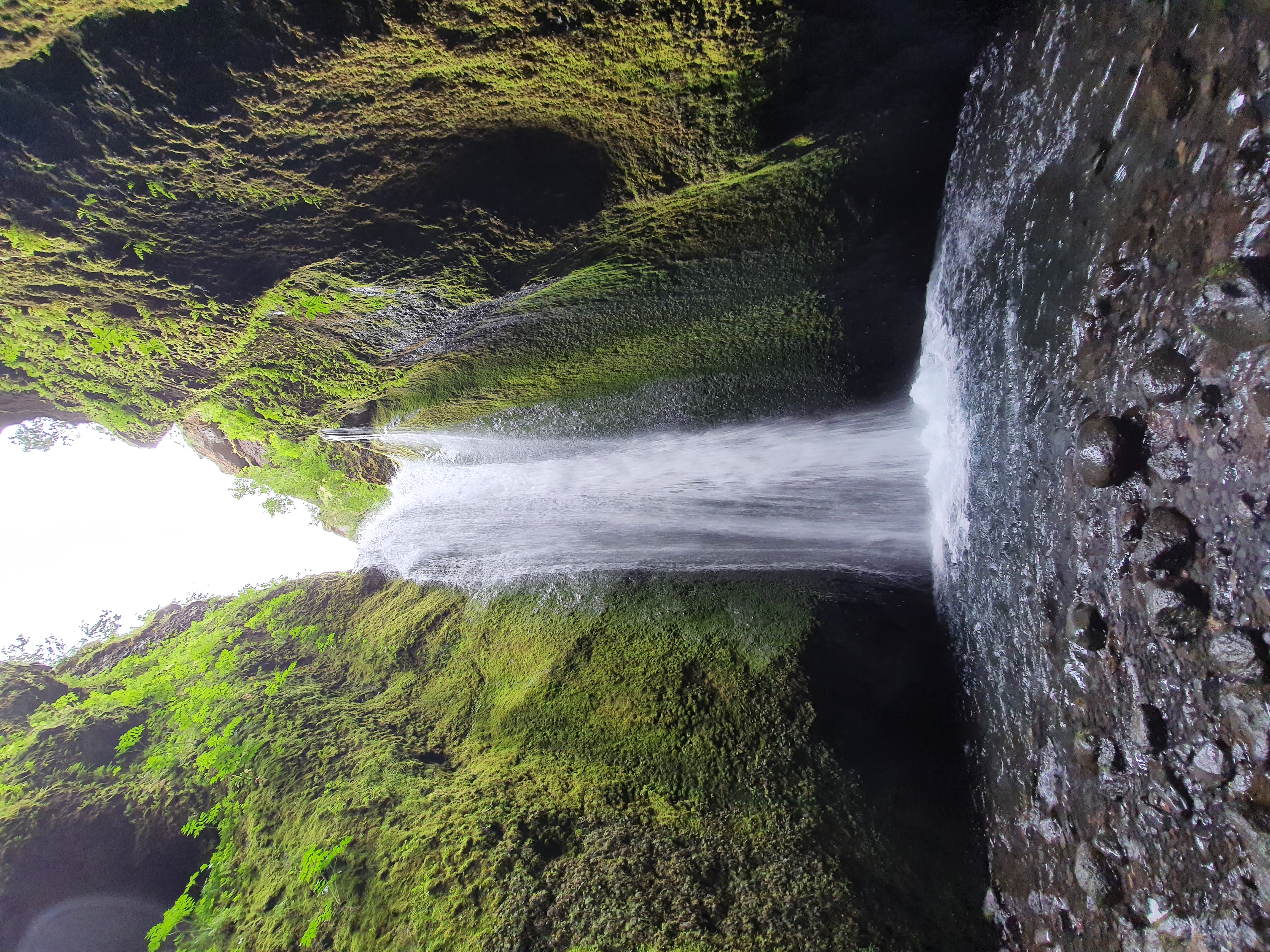 Moss-covered walls of Nauthúsagil ravine with stream and hidden waterfall