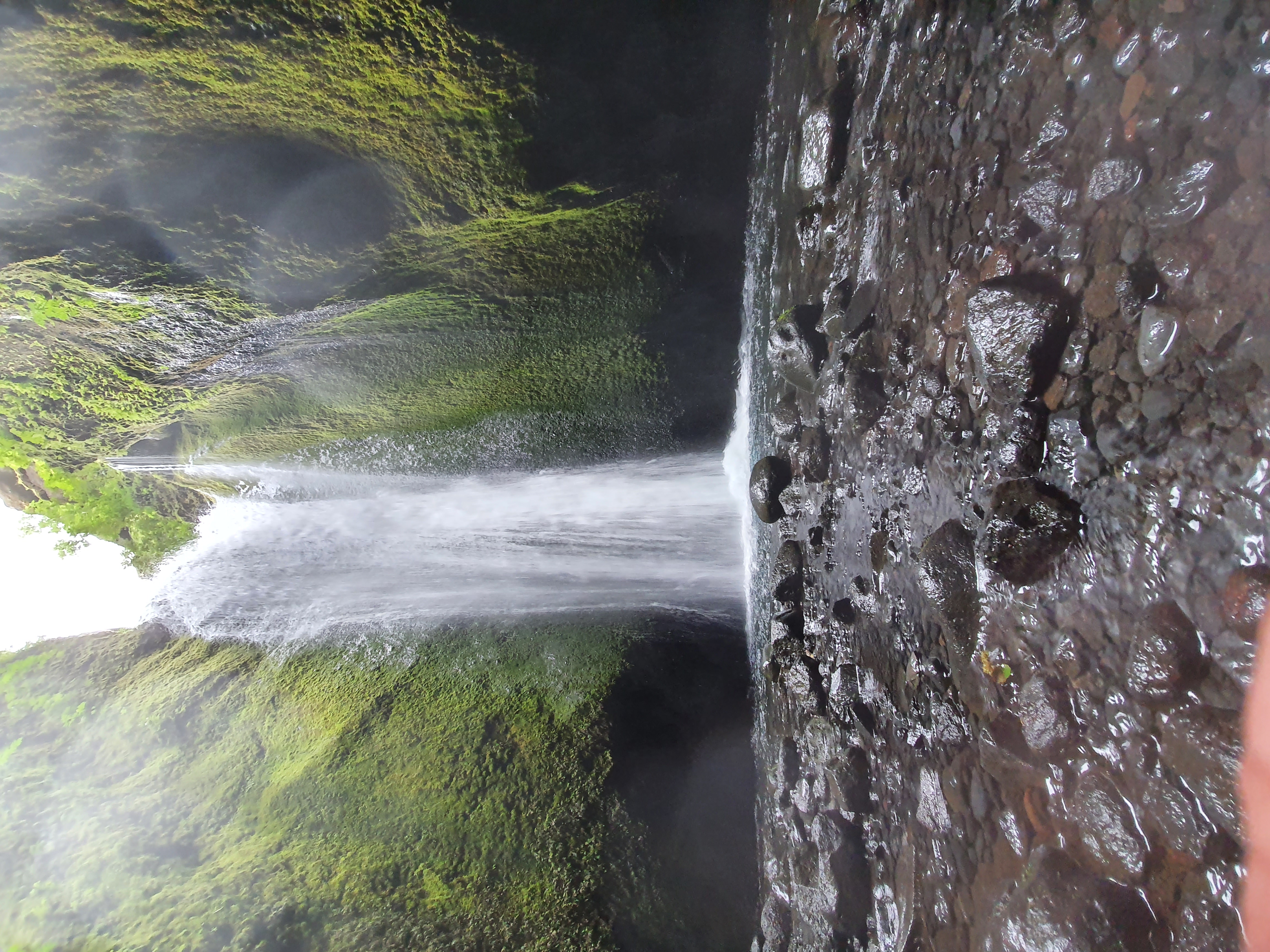 Close-up of the waterfall pouring from the rock face with lush green moss in Nauthúsagil